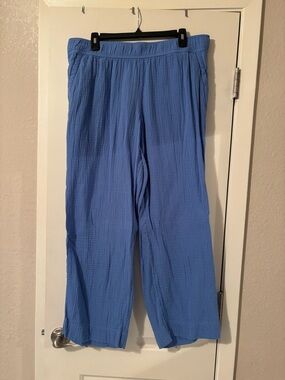 Talbots Airy Gauze Pull-On Pants in Light Blue